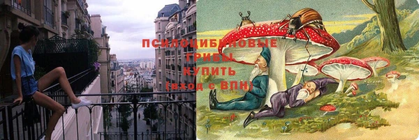PSILOCYBIN Верхнеуральск