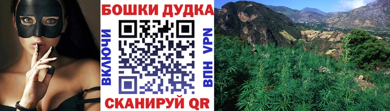 Шишки марихуана MAZAR  где купить наркоту  Карабулак 